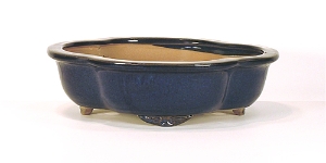 10 Inch Dark Blue Lotus Bonsai Pot 