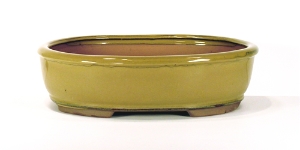 12 Inch Olive Oval Bonsai Pot 