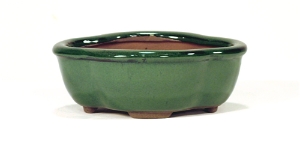 5 Inch Green Lotus Bonsai Pot 