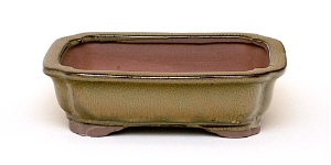 6 Inch Olive Rectangle Bonsai Pot 