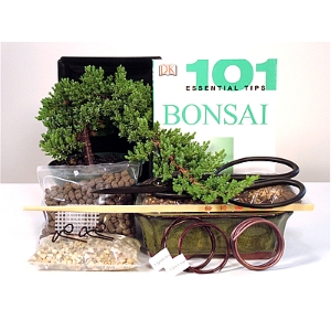 Juniper Deluxe Starter Kit - 6 Inch Bonsai Pot 
