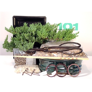 Juniper Deluxe Starter Kit - 8 Inch Bonsai Pot 