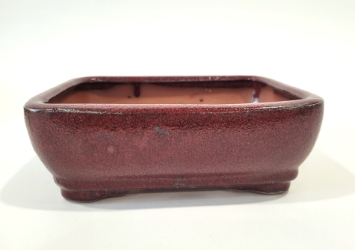 7 Inch Red Rectangle Bonsai Pot 