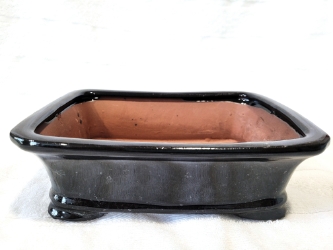 8 Inch Black Rectangle Bonsai Pot 