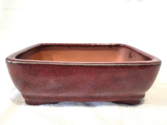8 Inch Red-Brown Rectangle Bonsai Pot 