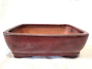 8 Inch Red-Brown Rectangle Bonsai Pot 